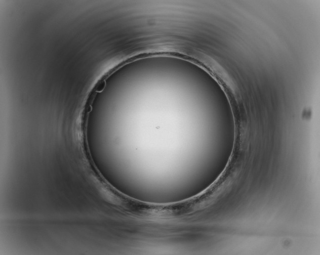 X0000103220789200808281407