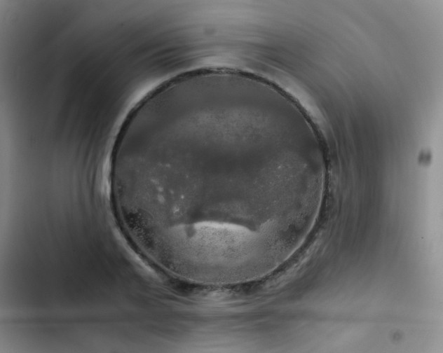 X0000103220791200808281406