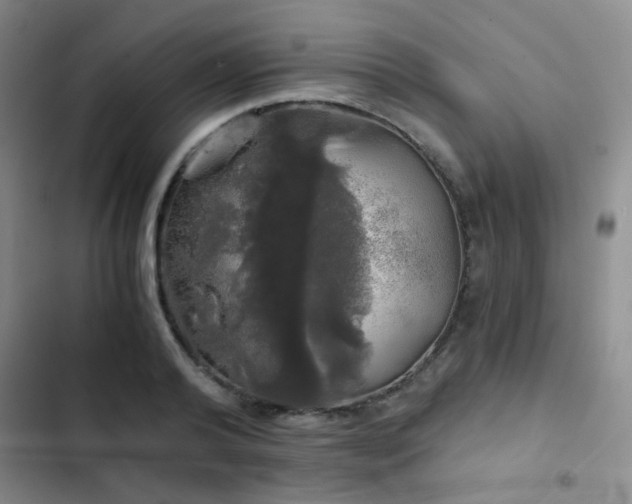 X0000103220792200808281406