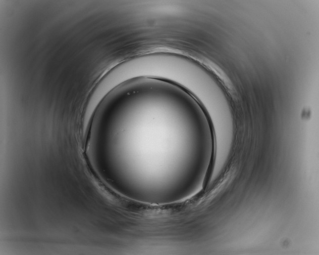X0000103220793200808281406