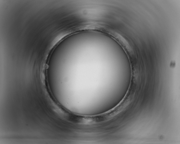X0000103220794200808281406