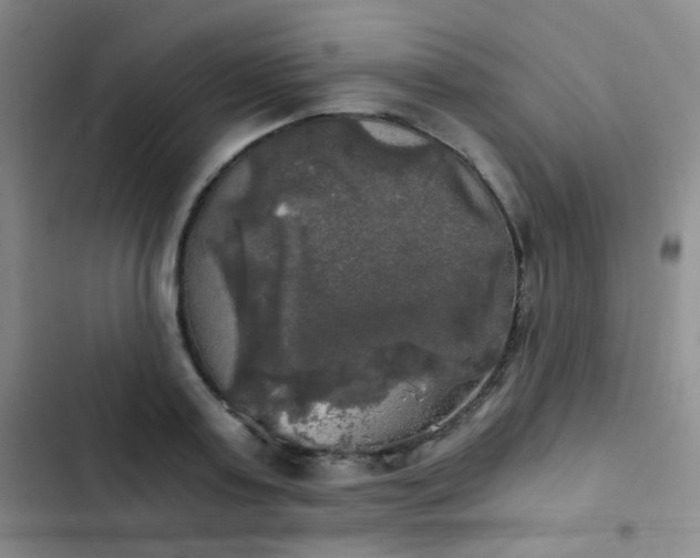 X0000103220795200808281406