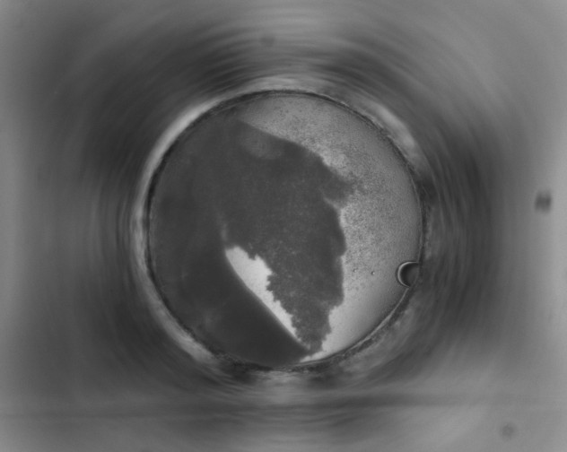 X0000103220796200808281406