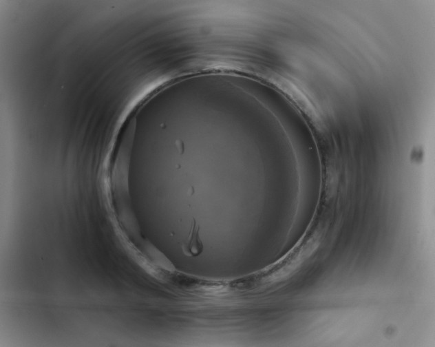 X0000103220798200808281406