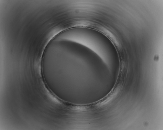X0000103220802200808281406