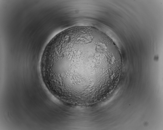 X0000103220803200808281406