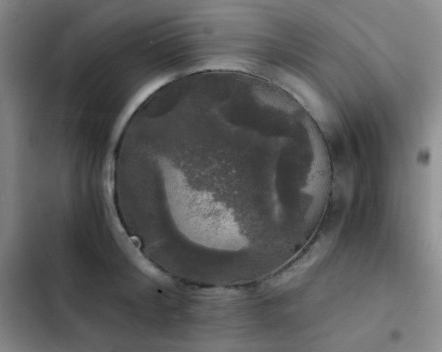 X0000103220804200808281406