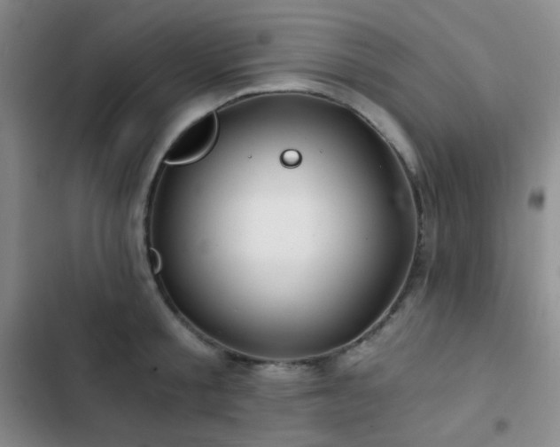 X0000103220805200808281406