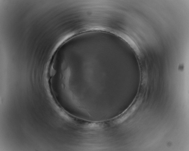 X0000103220806200808281406