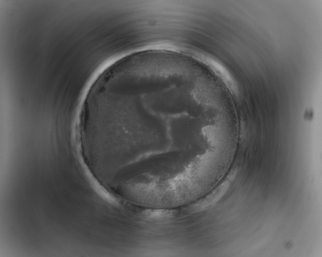 X0000103220808200808281406