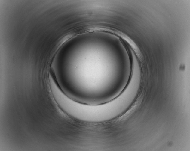 X0000103220809200808281406