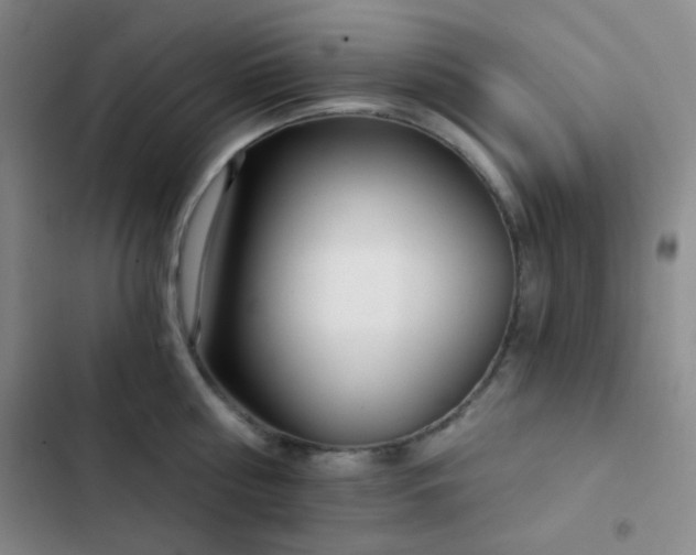 X0000103220810200808281406