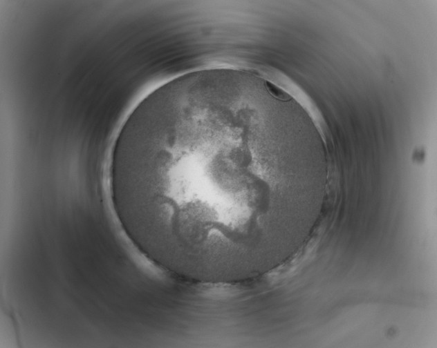X0000103220811200808281406