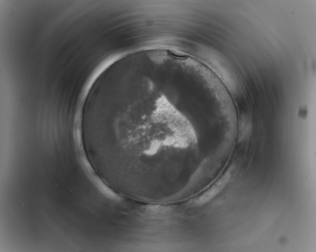 X0000103220812200808281406
