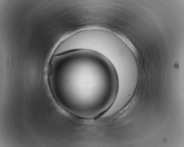 X0000103220813200808281406