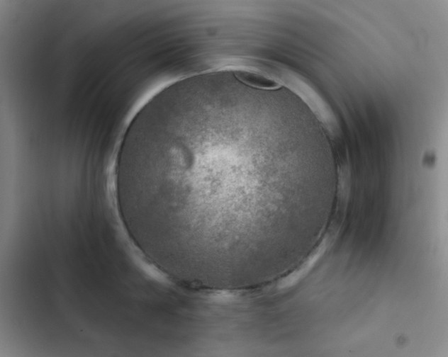 X0000103220814200808281406