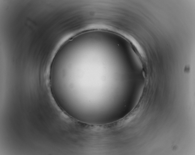 X0000103220815200808281406