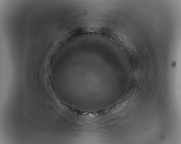 X0000103220817200808281405