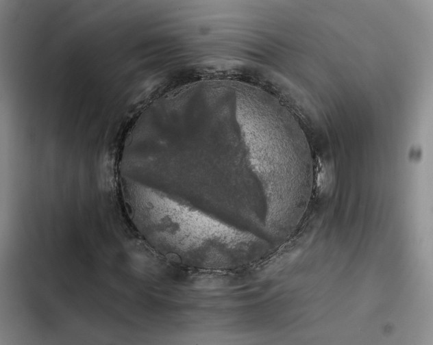 X0000103220819200808281405