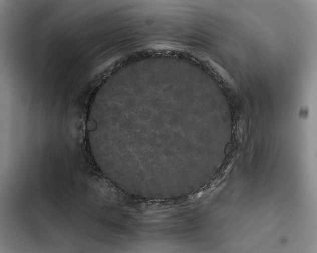 X0000103220821200808281405