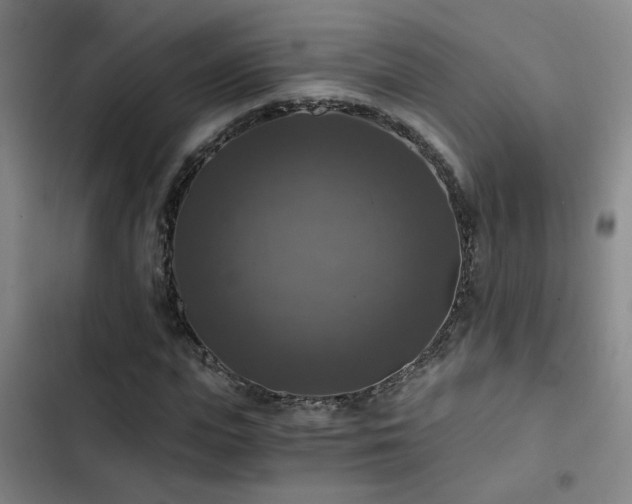 X0000103220823200808281405