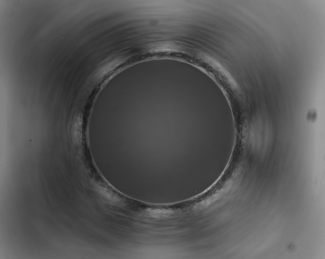 X0000103220825200808281405