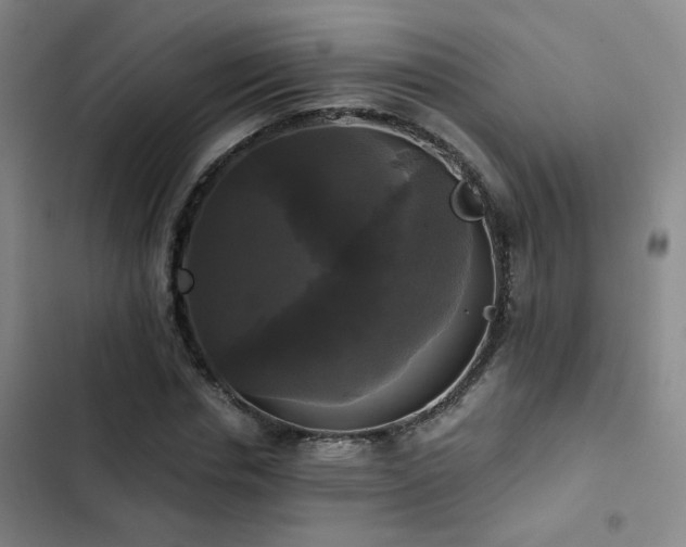 X0000103220826200808281405