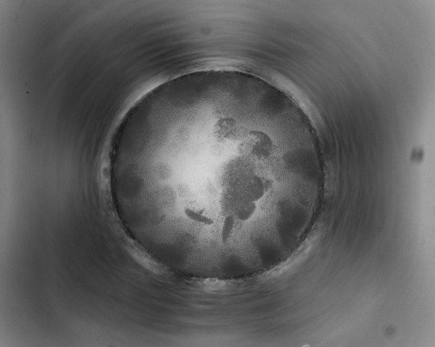 X0000103220827200808281405