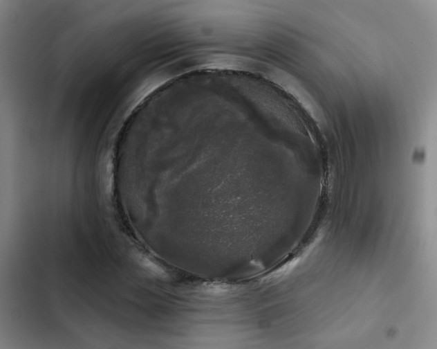 X0000103220829200808281405