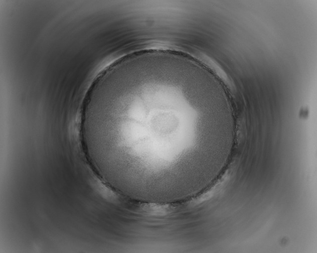 X0000103220831200808281405