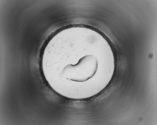 X0000103220832200808281405