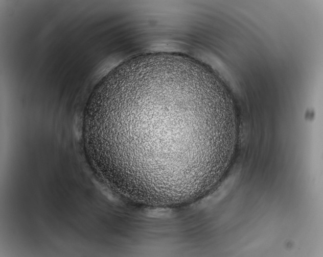 X0000103220833200808281405