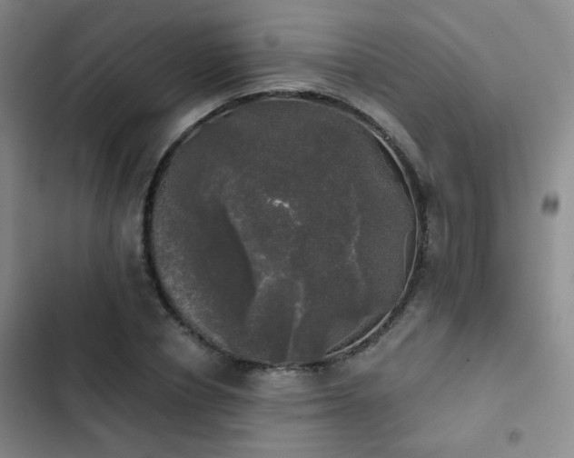 X0000103220834200808281405