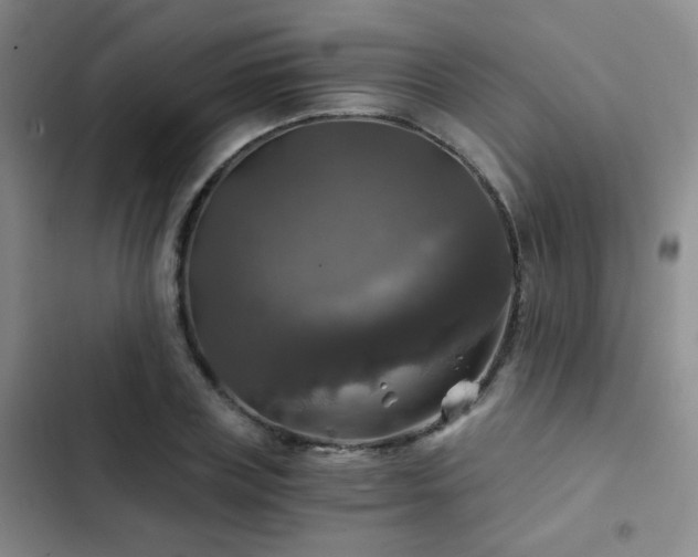 X0000103220835200808281405