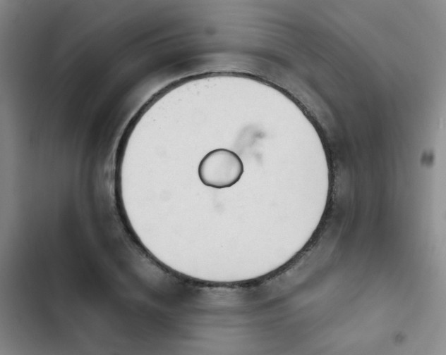 X0000103220836200808281405
