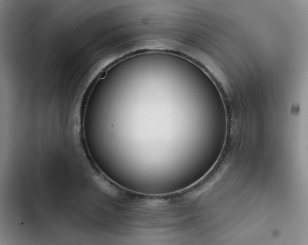 X0000103220837200808281406