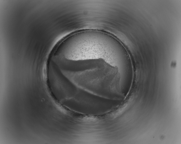 X0000103220838200808281406