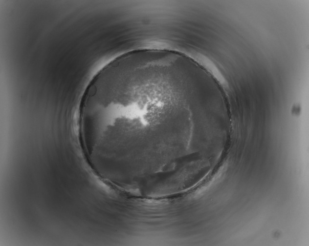 X0000103220839200808281406