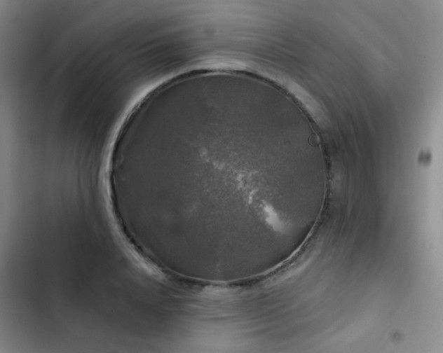 X0000103220840200808281406