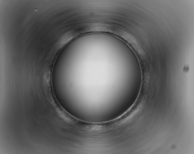 X0000103220841200808281406
