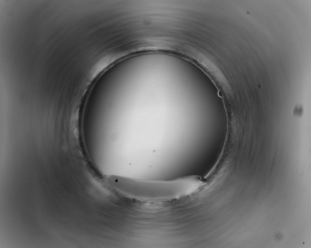 X0000103220842200808281406