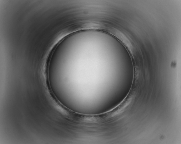 X0000103220843200808281406