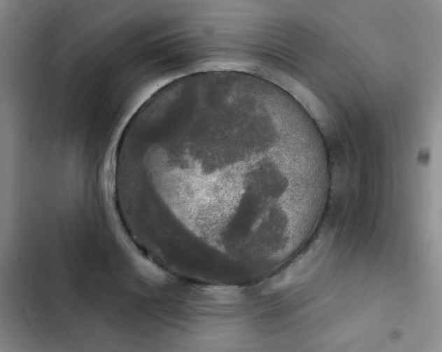 X0000103220844200808281406