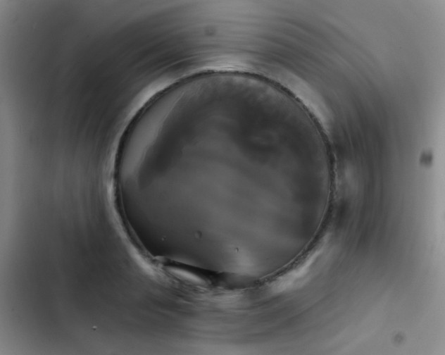 X0000103220845200808281406