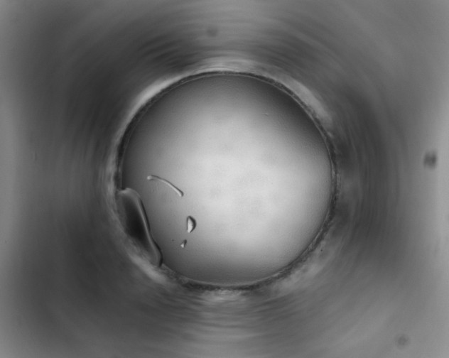 X0000103220846200808281406