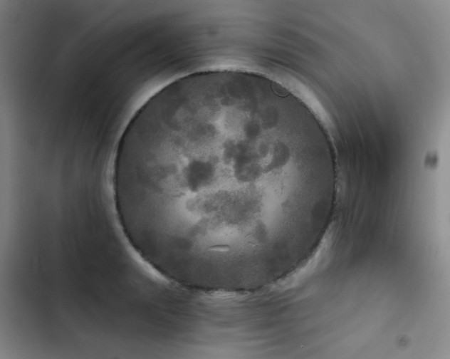 X0000103220847200808281406