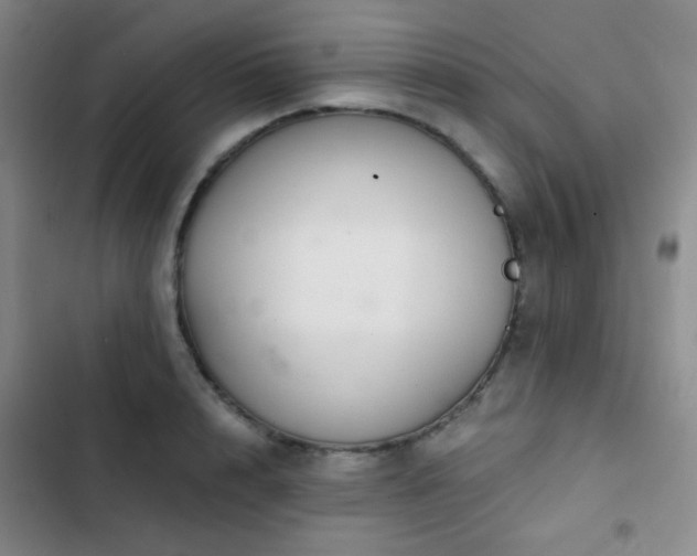 X0000103220848200808281406