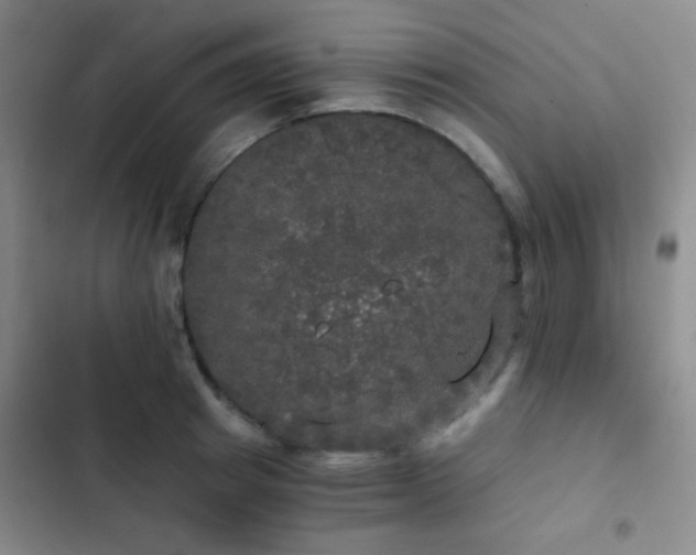 X0000103220849200808281406