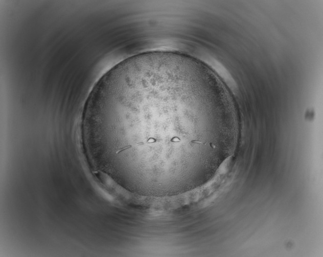 X0000103220850200808281406