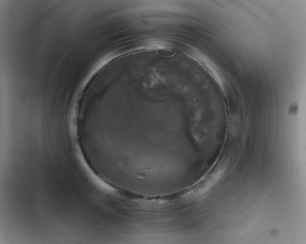X0000103220851200808281406